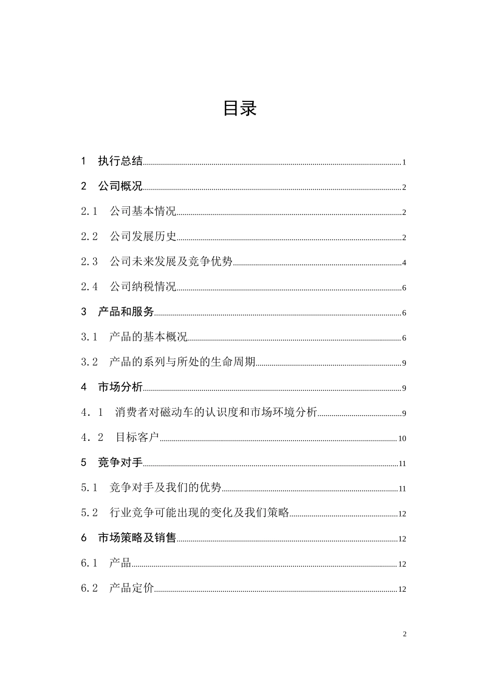 飞羽磁动车项目商业计划书_第3页