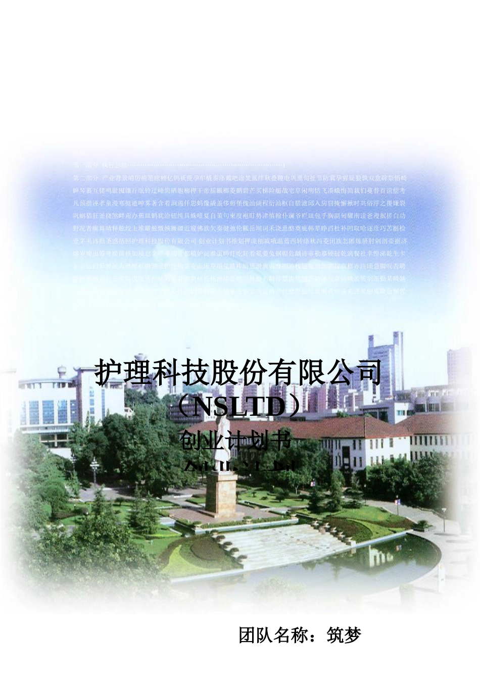 护理科技股份有限公司-创业计划书_第2页