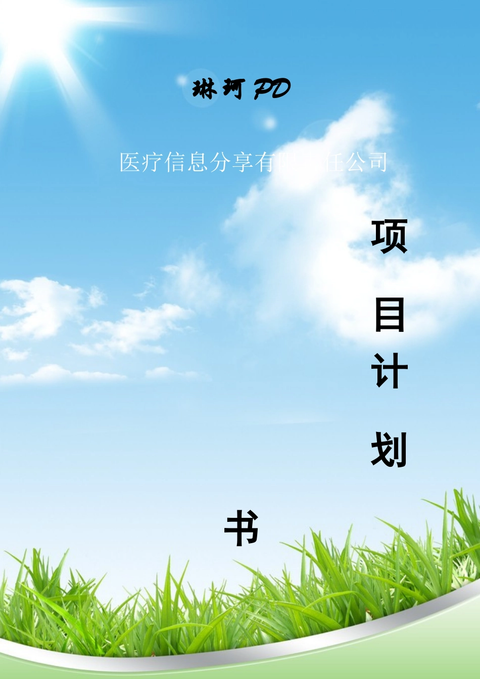 医疗信息分享项目计划书_第1页
