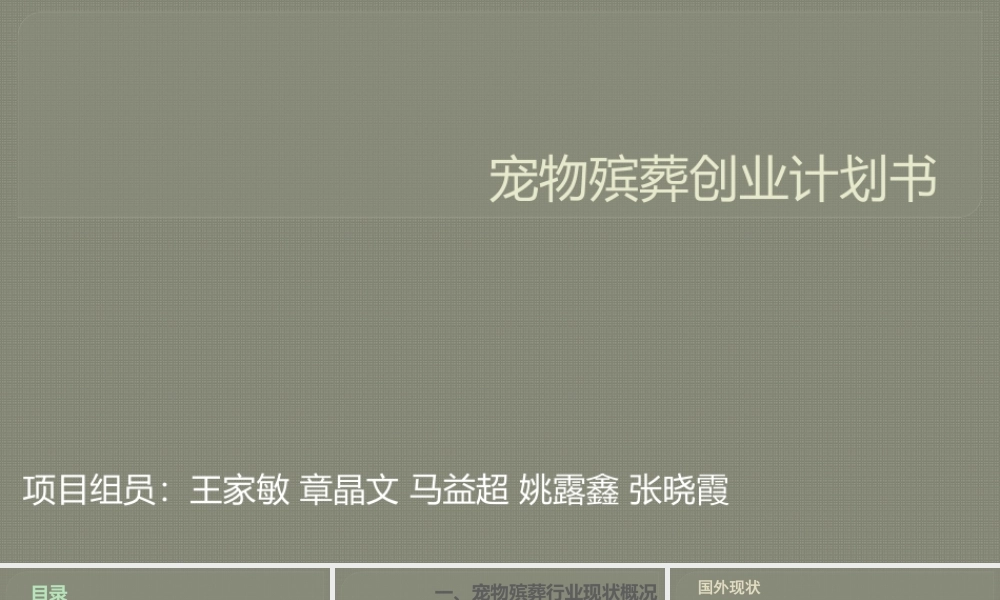 宠物殡葬创业计划书