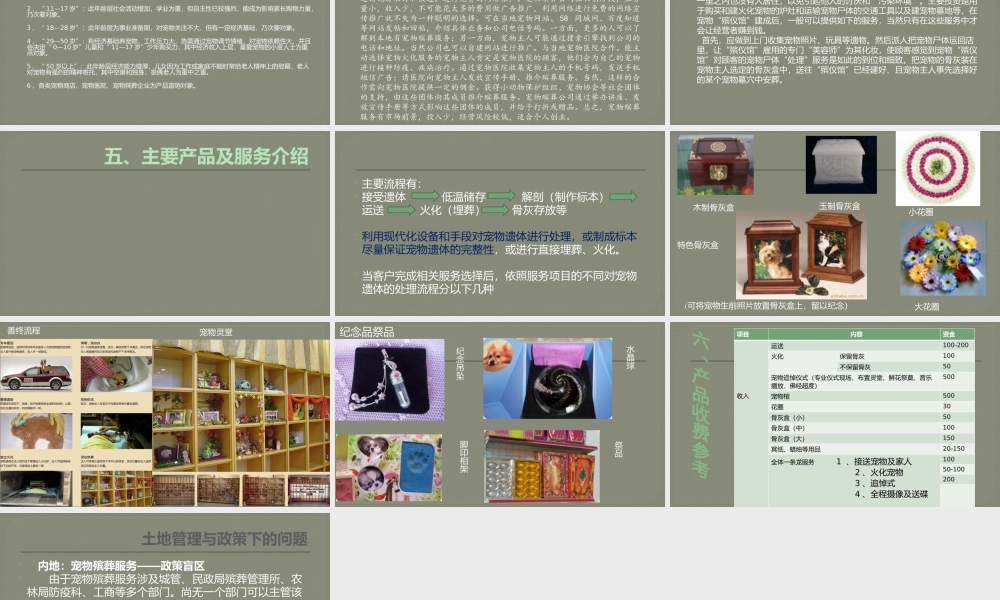 宠物殡葬创业计划书