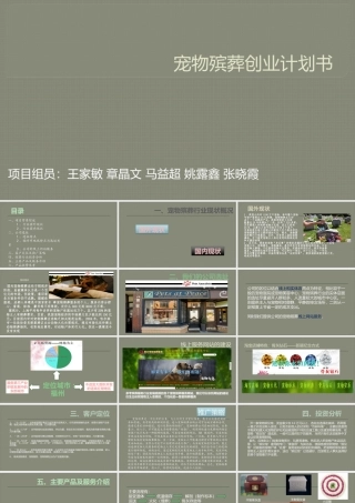 宠物殡葬创业计划书