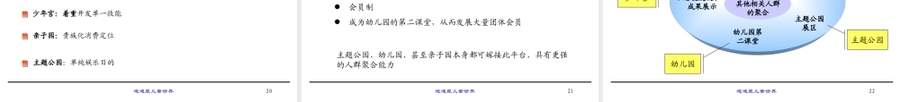 迪迪星儿童世界（DDS）商业计划书