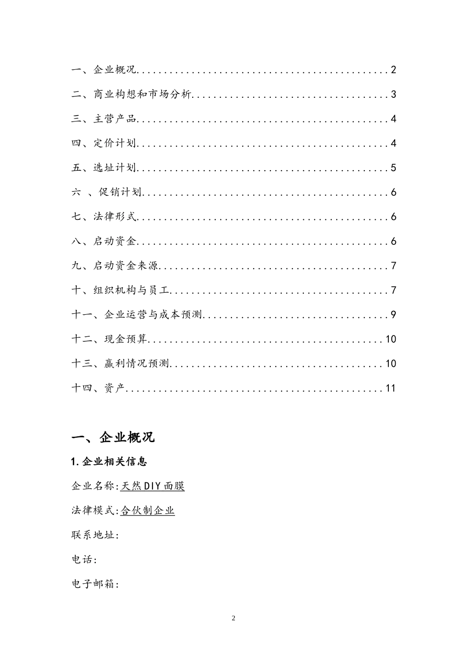 天然DIY面膜创业计划书_第2页