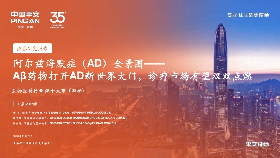 2023年阿尔兹海默症（AD）全景图_第1页