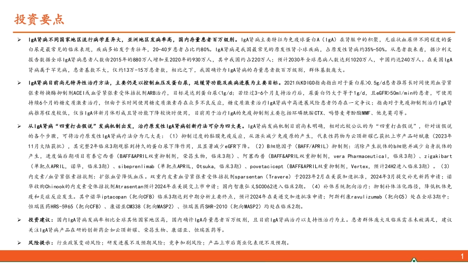 2024年23页医疗行业IgA肾病全景图：国内百万级患者基数，IgAN掘金之路待启航_第2页