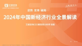 2024年123页中国新经济行业全景解读