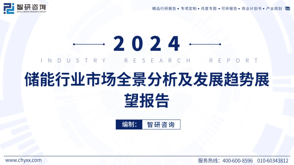 2024年储能行业市场全景分析及发展趋势展望报告_第1页