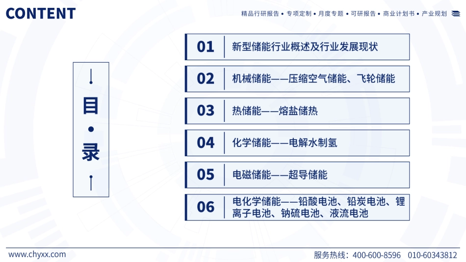 2024年储能行业市场全景分析及发展趋势展望报告_第2页