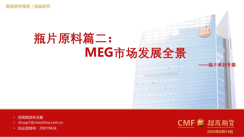 MEG市场发展全景 - 副本_第1页