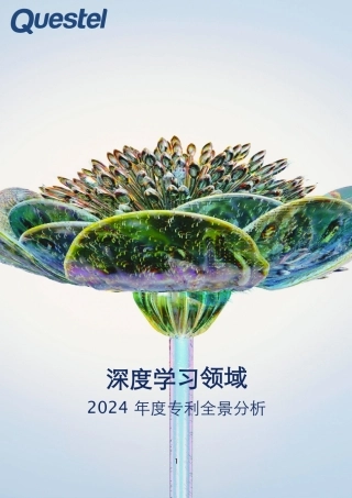 2024年度专利全景分析：深度学习领域
