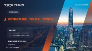 固态电池全景图：方兴未艾，技术竞逐