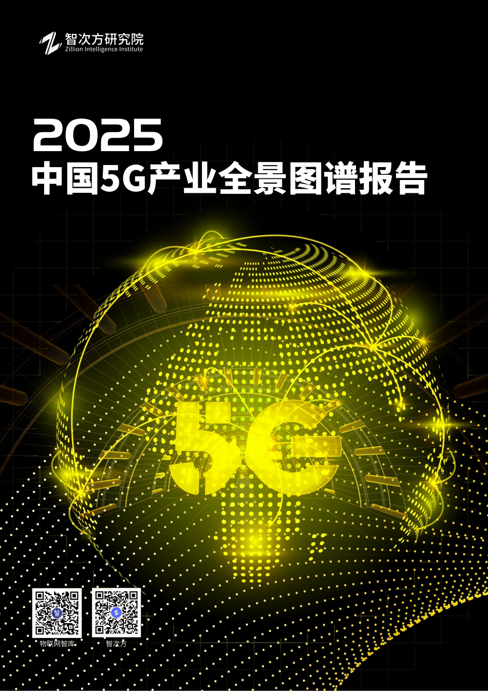 2025中国5G产业全景图谱报告_第1页