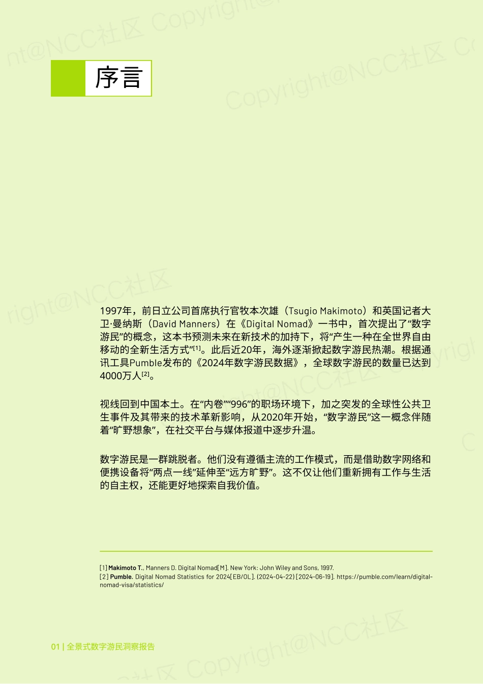 全景式数字游民报告__第2页