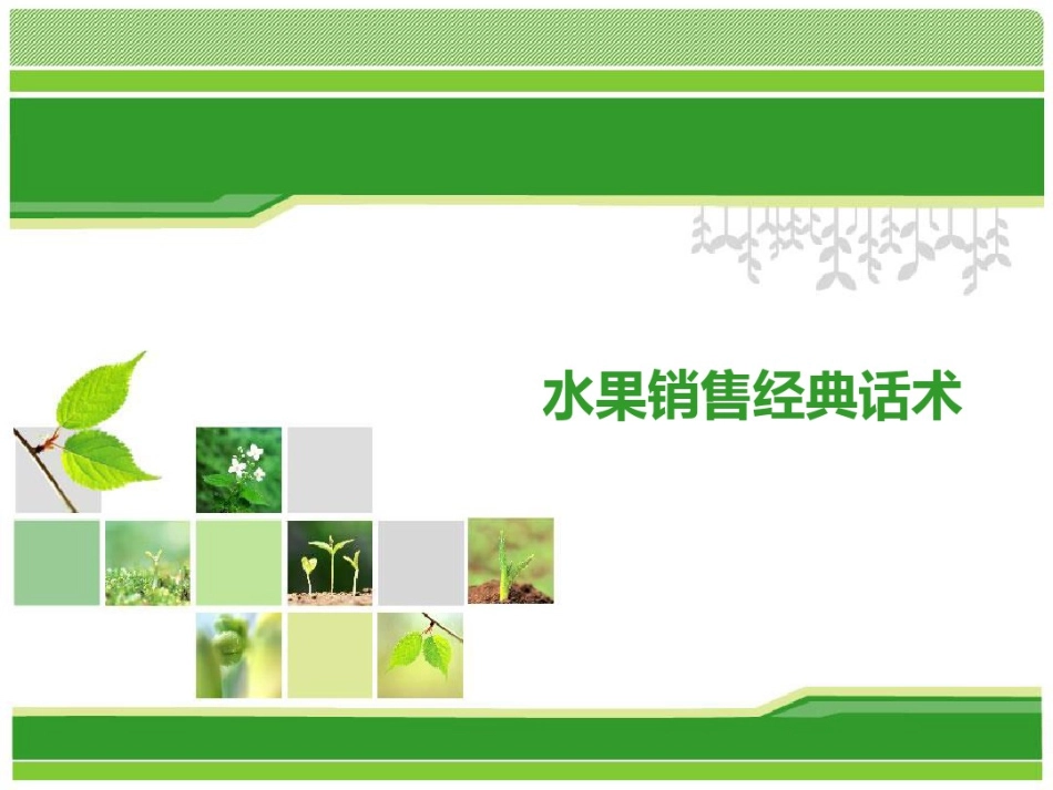 【话术】水果销售经典话术_第1页
