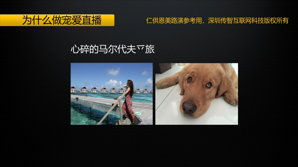传智互联--宠爱直播商业计划书_第2页