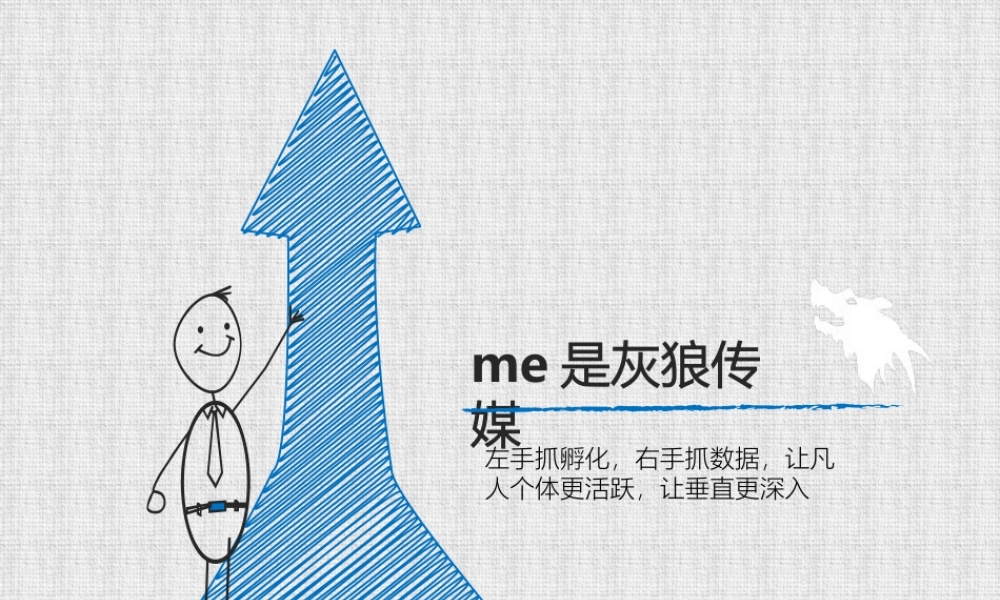 灰狼传媒-直播网红标准制造公司.商业计划书