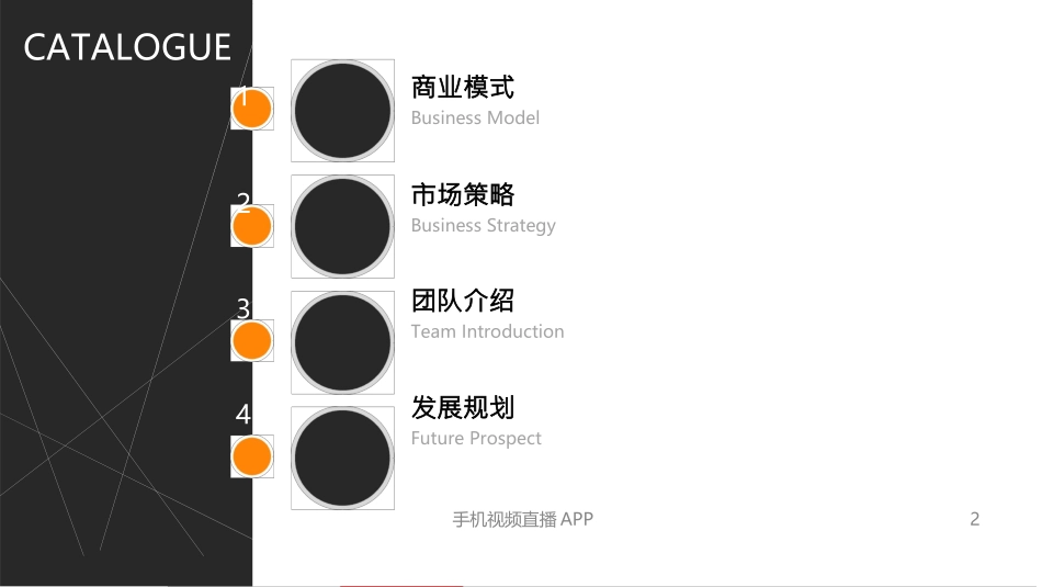 视频直播-搭建最好玩的手机视频直播社交平台商业计划书_第2页