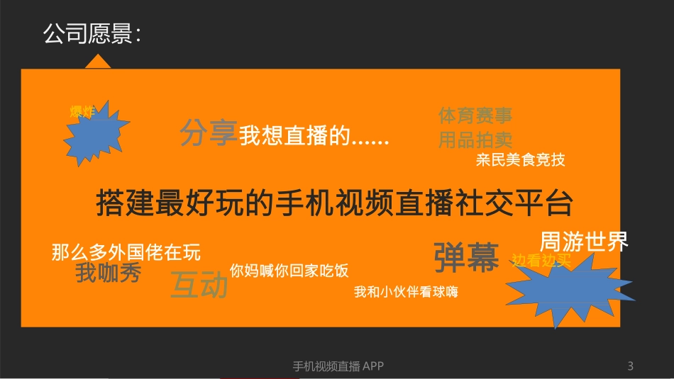 视频直播-搭建最好玩的手机视频直播社交平台商业计划书_第3页