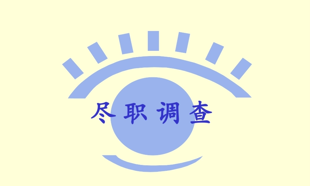 安永尽职调查模板