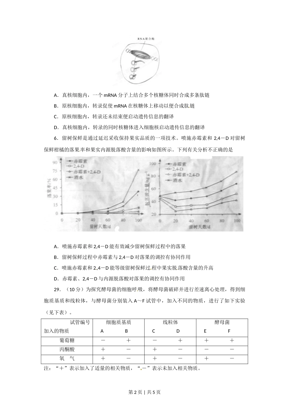 2012年高考生物试卷(安徽)(空白卷)_第2页