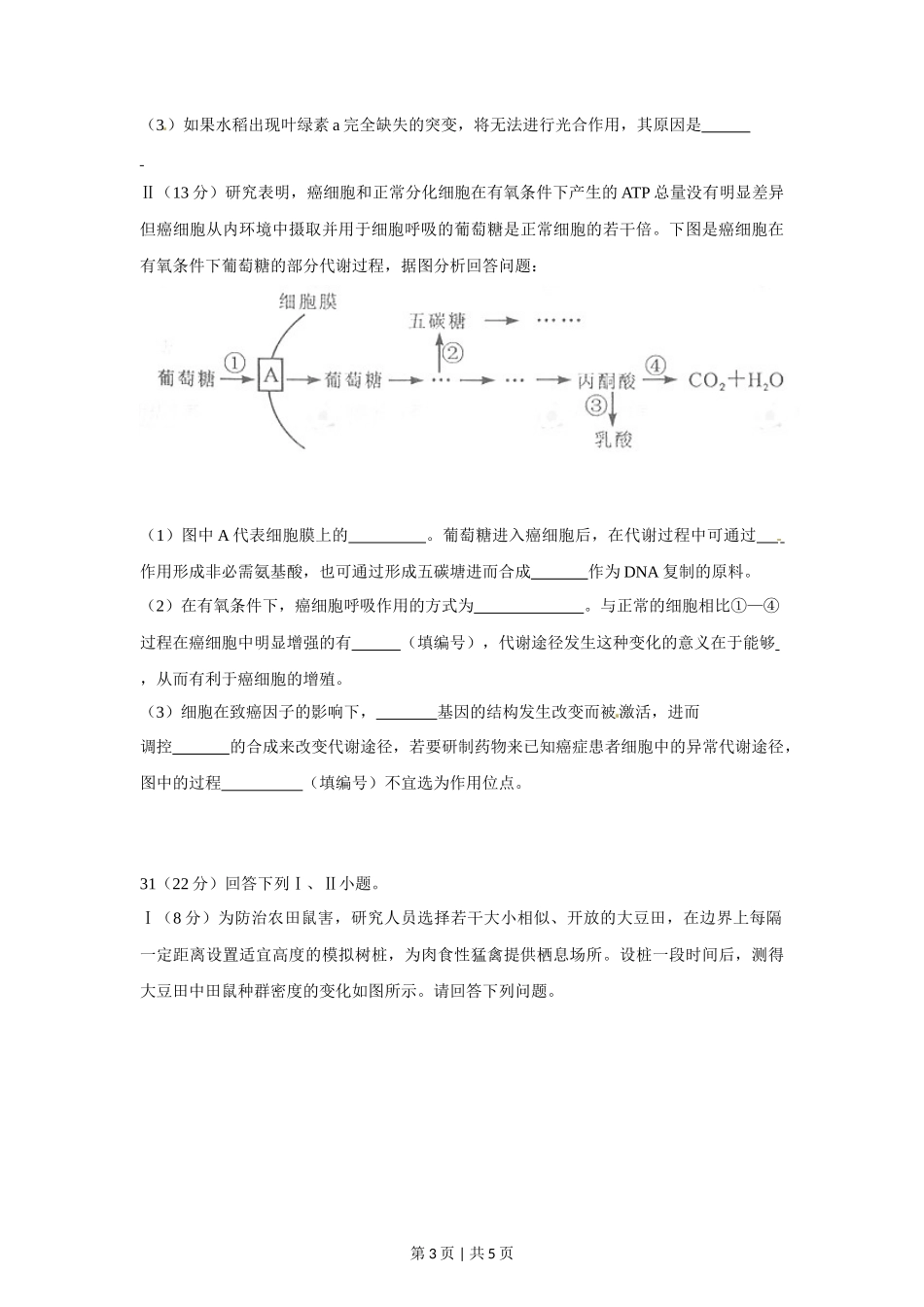 2012年高考生物试卷(四川)(空白卷)_第3页