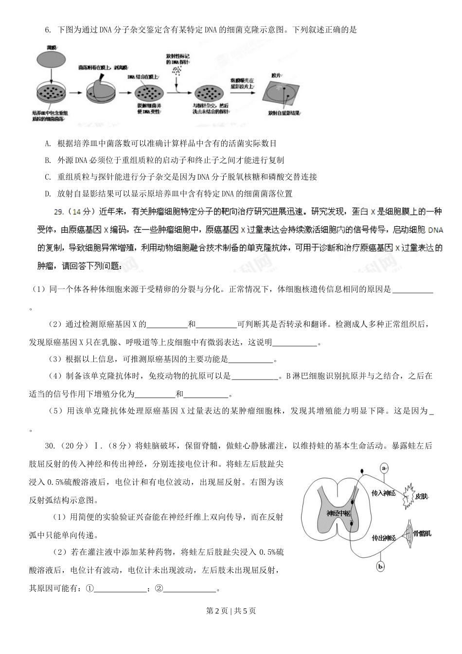 2013年高考生物试卷(安徽)(空白卷)_第2页