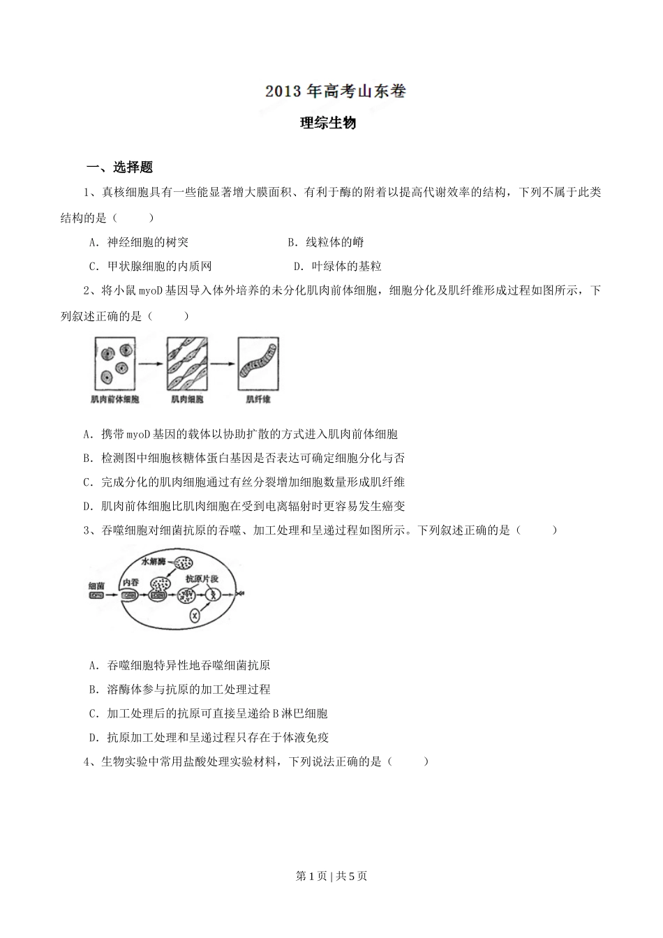 2013年高考生物试卷（山东）（空白卷）_第1页
