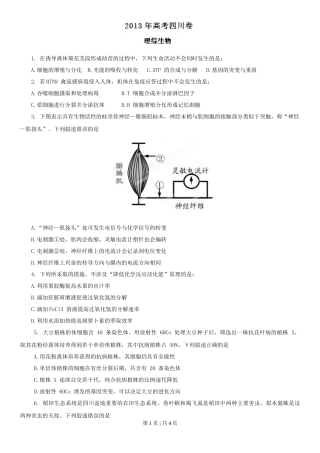 2013年高考生物试卷（四川）（空白卷）