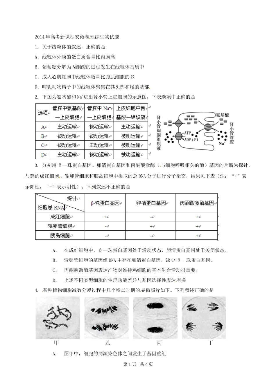 2014年高考生物试卷(安徽)(空白卷)_第1页