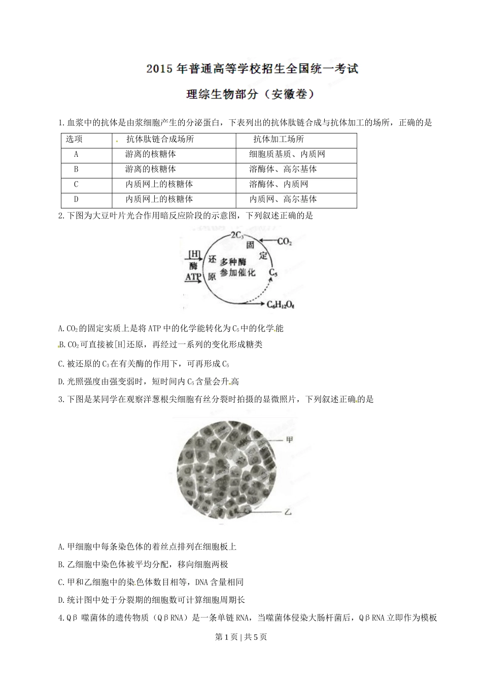 2015年高考生物试卷(安徽)(空白卷)_第1页