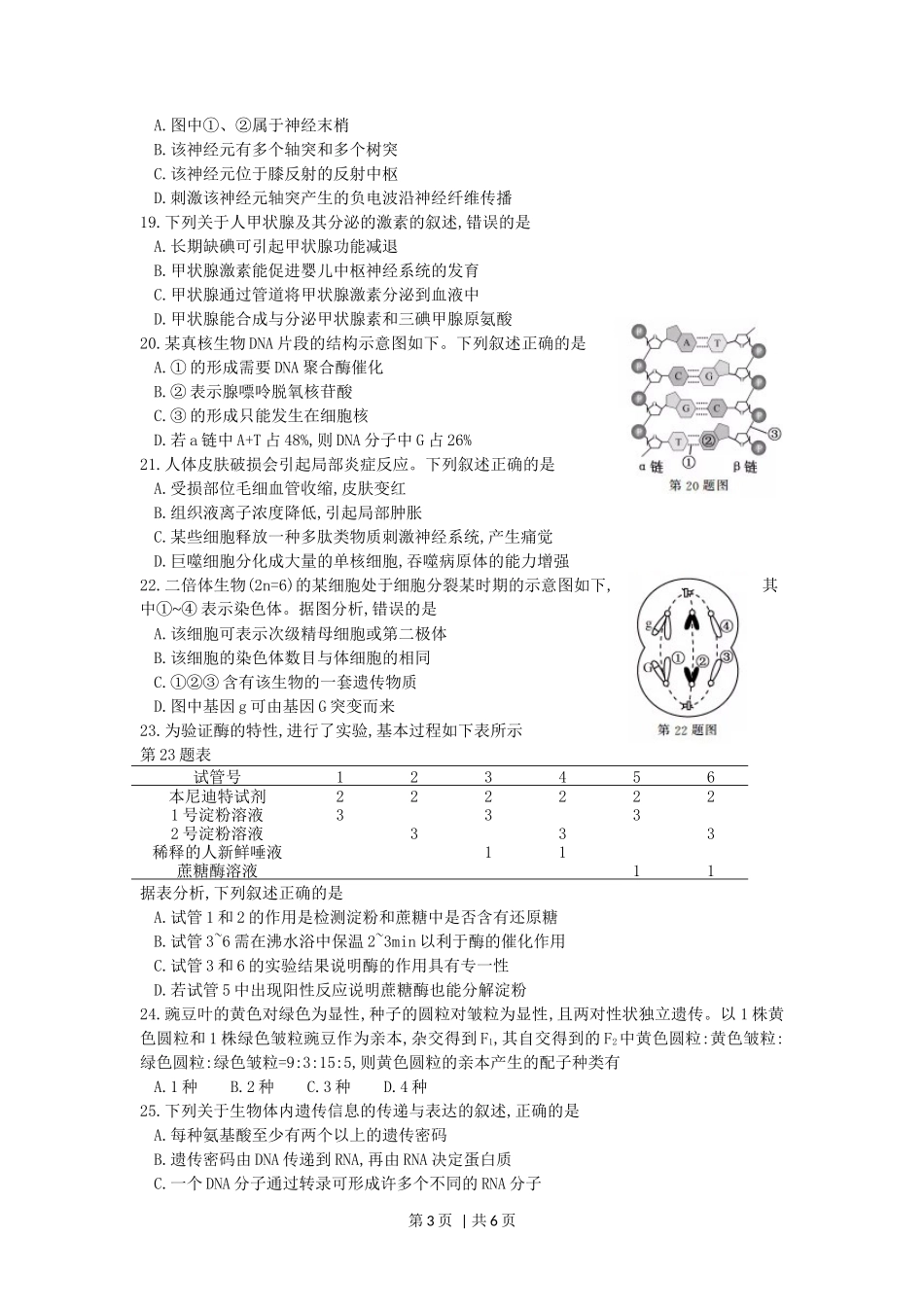 2017年高考生物试卷（浙江）【11月】（空白卷）_第3页