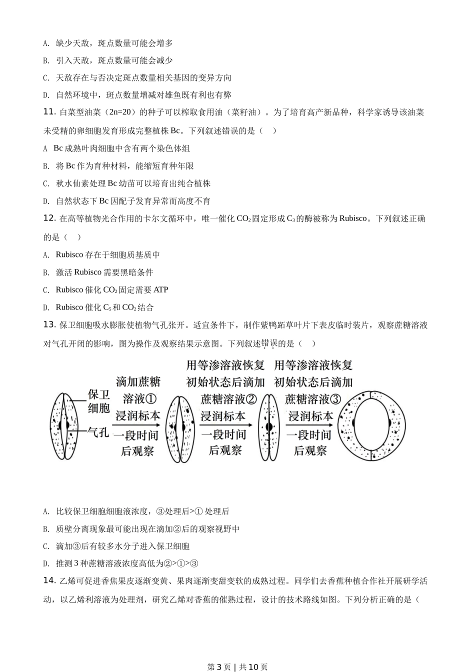2021年高考生物试卷(广东)(空白卷)_第3页