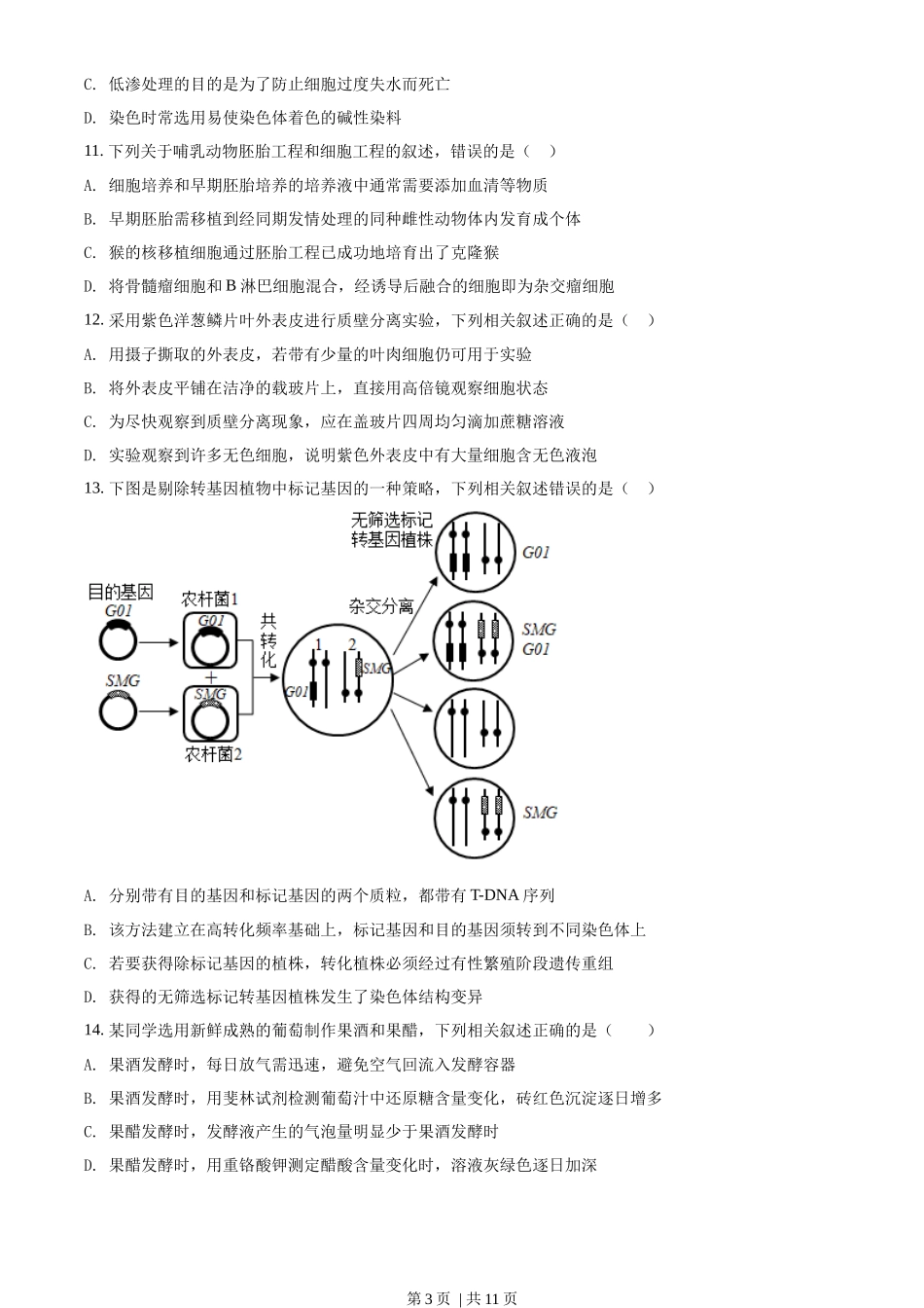 2021年高考生物试卷（江苏）（空白卷）_第3页