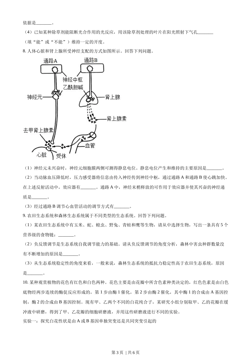 2023年高考生物试卷(全国乙卷)(空白卷)_第3页
