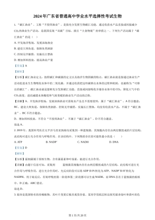 2024年高考生物试卷（广东）（解析卷）