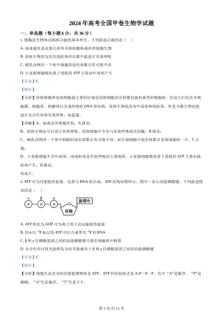 2024年高考生物试卷（全国甲卷）（解析卷）