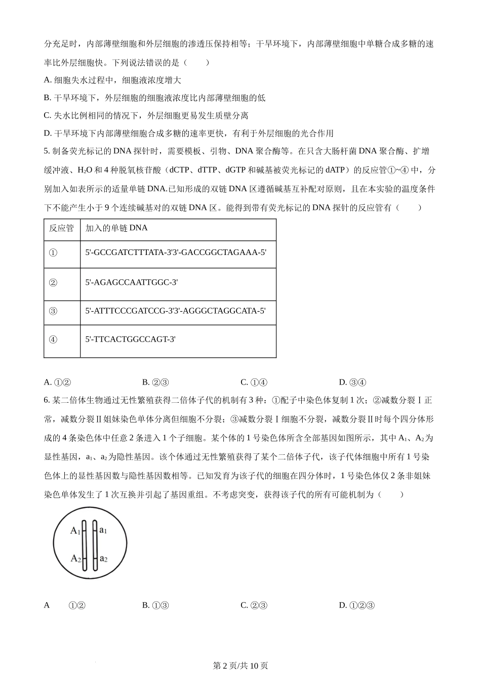 2024年高考生物试卷(山东)(空白卷)_第2页