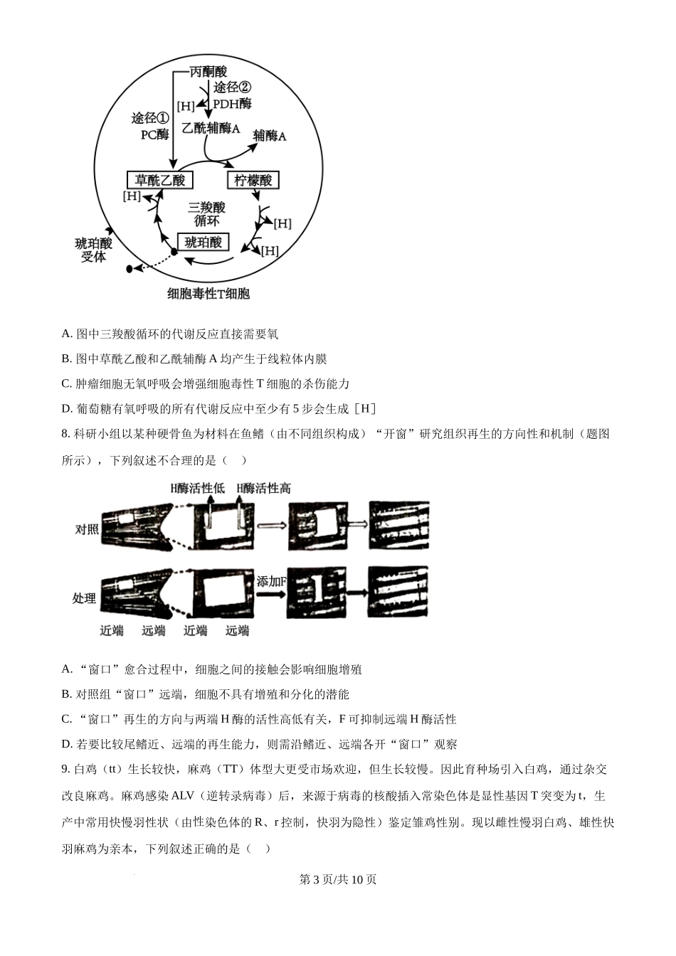 2024年高考生物试卷(重庆)(空白卷)_第3页