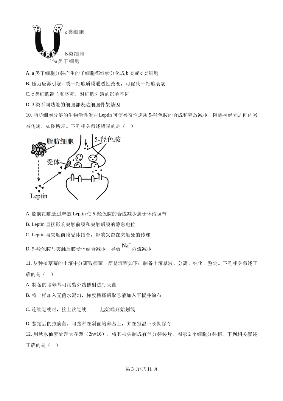 2025年高考生物试卷（江苏卷）（空白卷）_第3页
