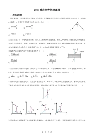 2023年高考物理试卷（重庆）（空白卷）
