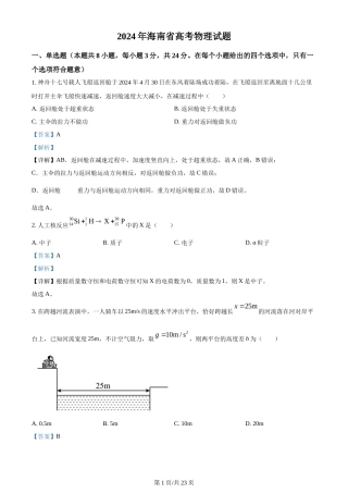 2024年高考物理试卷（海南）（解析卷）