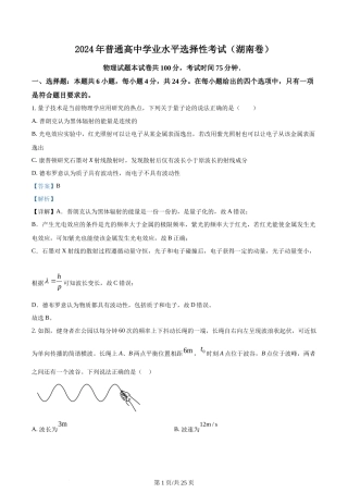 2024年高考物理试卷（湖南）（解析卷）