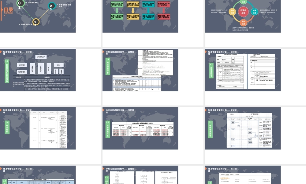 【行政体系】行政标准化体系建设分享-某行政副总