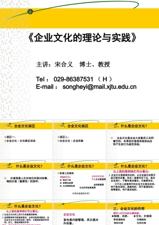 企业文化的理论与实践