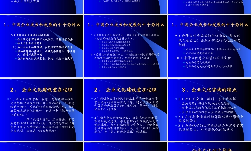 企业文化咨询案例