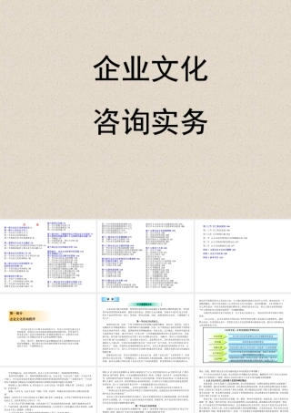 企业文化咨询实务