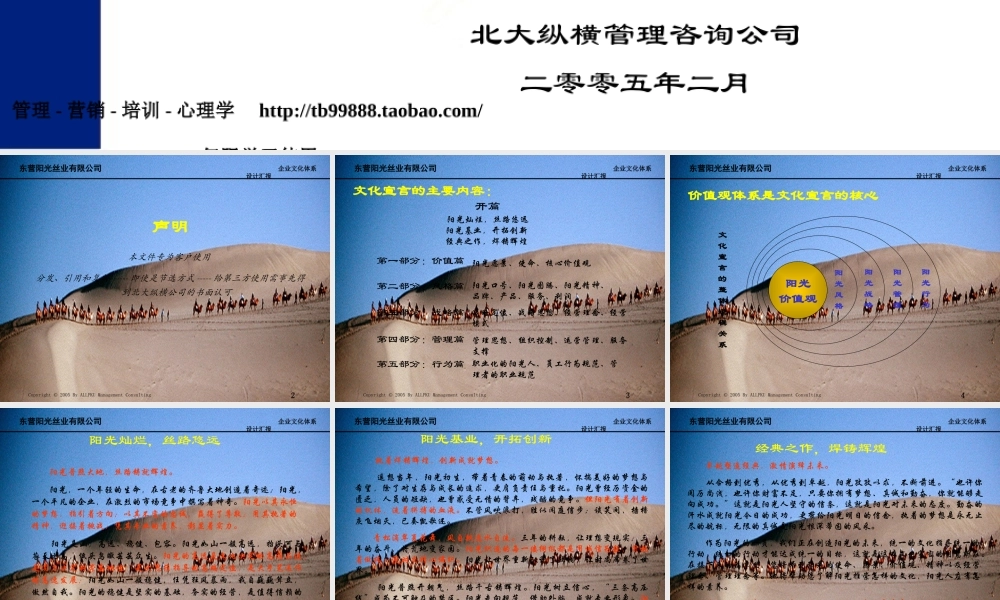 北大纵横:阳光丝业企业文化宣言