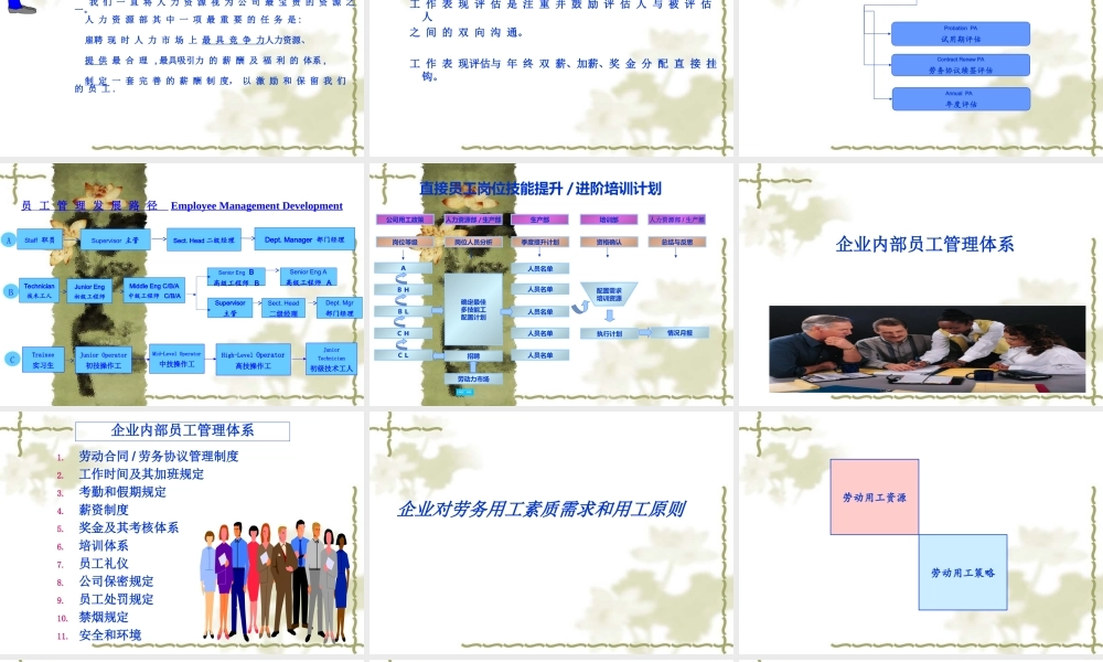 飞利浦企业文化和员工招聘条件
