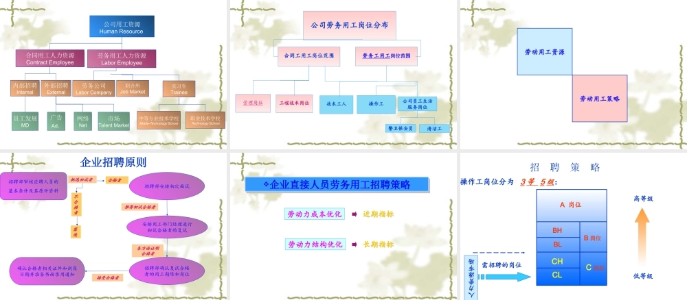 飞利浦企业文化和员工招聘条件